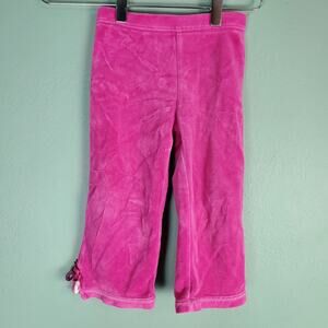 Gymboree Girl's Fall Forest Pink Crochet Flower Velour Pants Size 2T